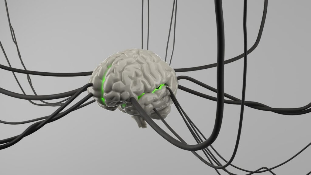 Deep Brain Stimulation Is Getting a Software Upgrade — And It Changes Everything