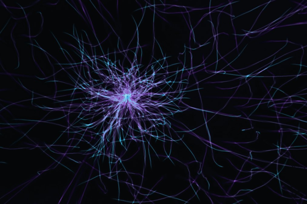 a purple and blue abstract pattern on a black background
