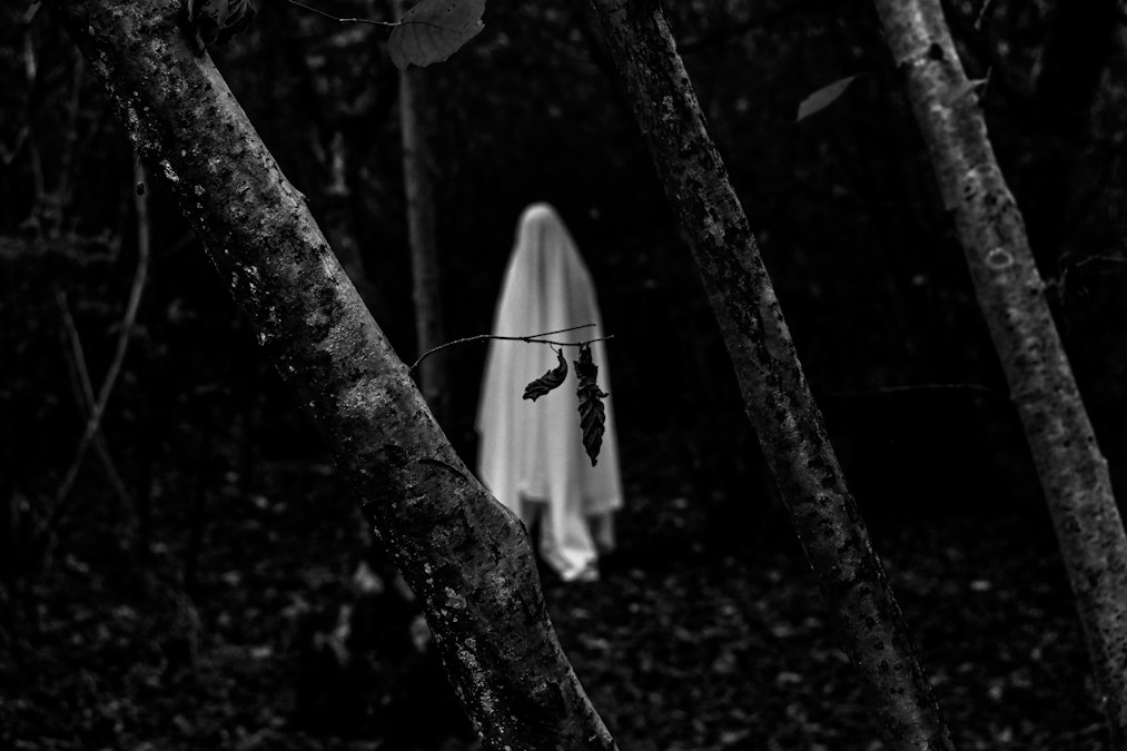 a person standing next to a forest